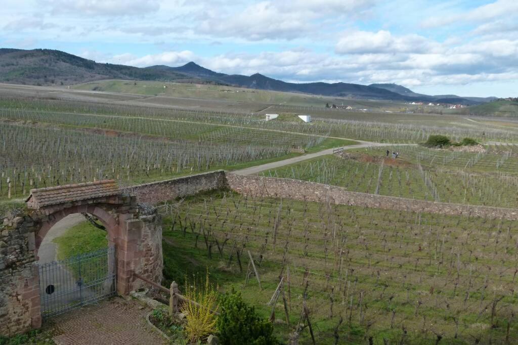 Domaine Du Bouxhof Appartamento Mittelwihr